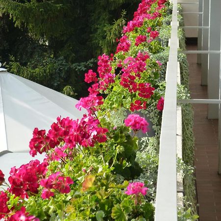 Hotel Zur Flueh 바드사킹겐 외부 사진